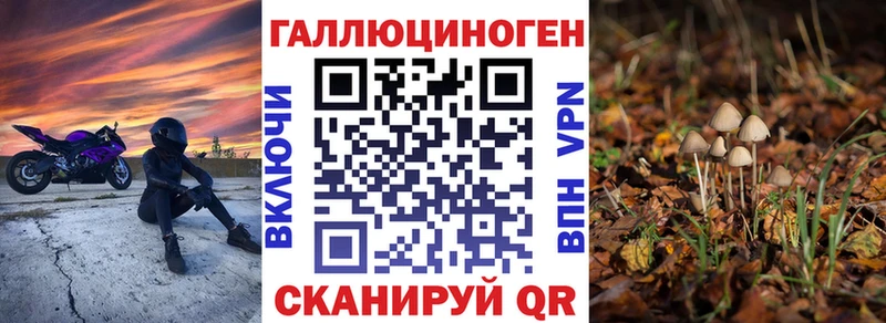 кракен зеркало  Сарапул  Псилоцибиновые грибы мицелий  где купить  